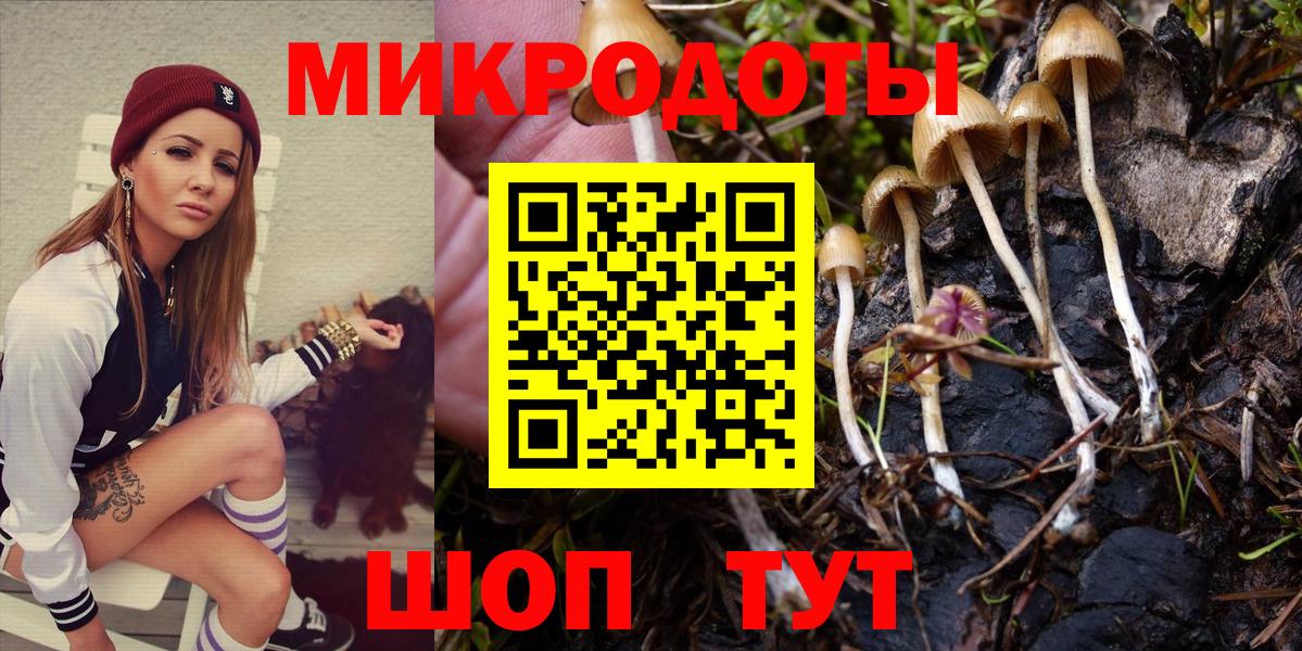 Галлюциногенные грибы Cubensis Богданович