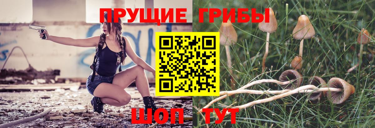 Псилоцибиновые грибы мицелий  Вход с VPN  купить наркоту  Богданович 